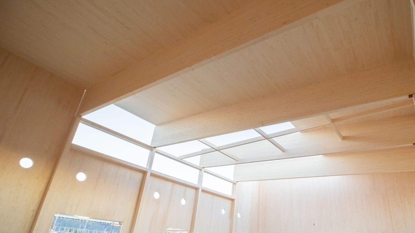 A timber hall ceiling with rooflights and spotlights